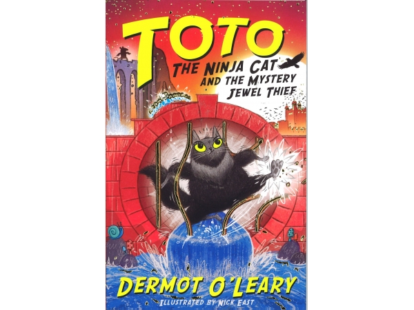 cat ninja book 6