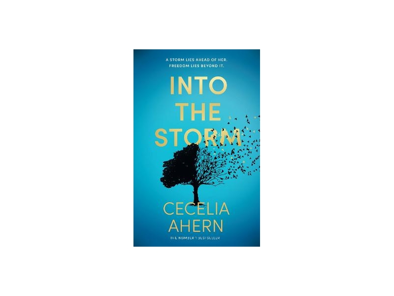 Into the Storm - Cecelia Ahern