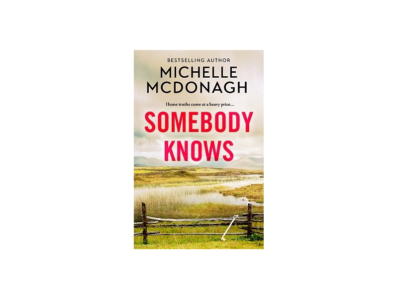 Somebody Knows - Michelle McDonagh