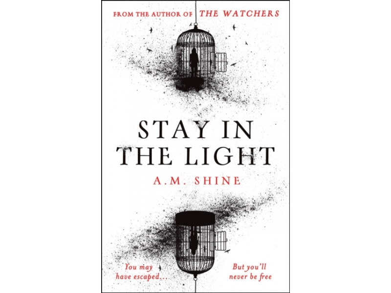 Stay in the Light - A. M. Shine