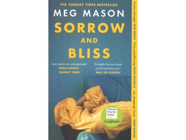 meg mason sorrow and bliss