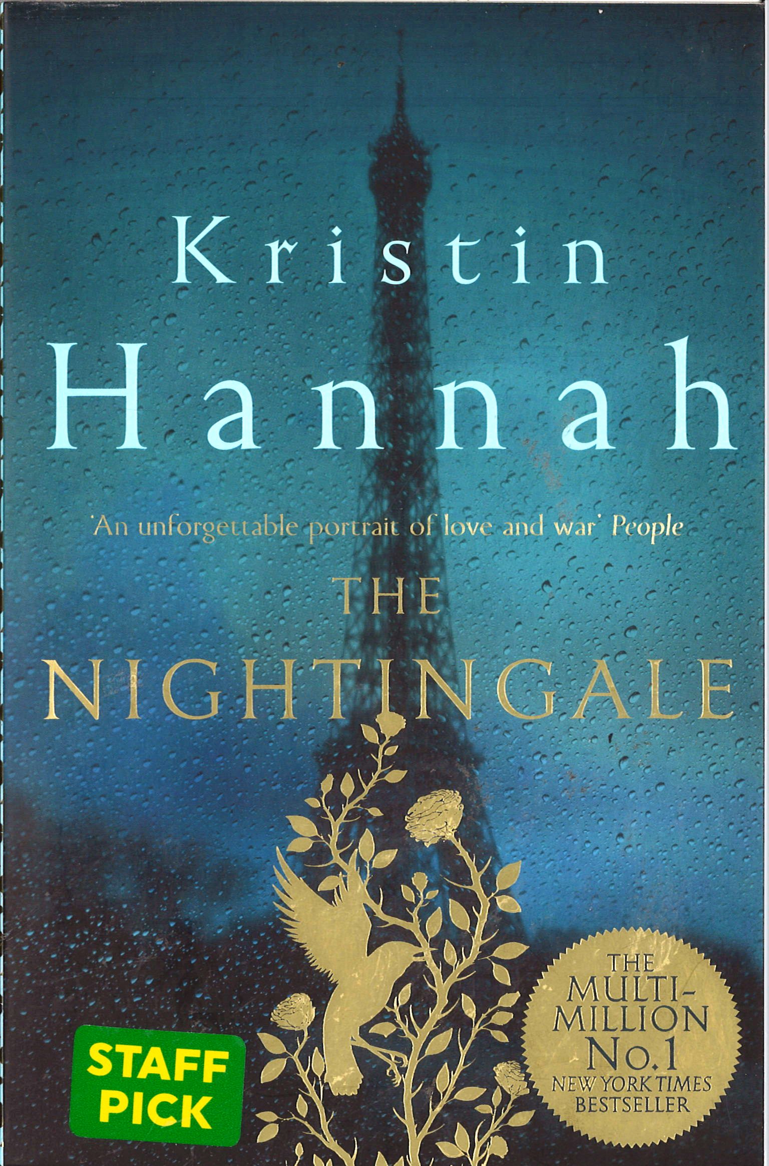 the nightingale novel by kristin hannah